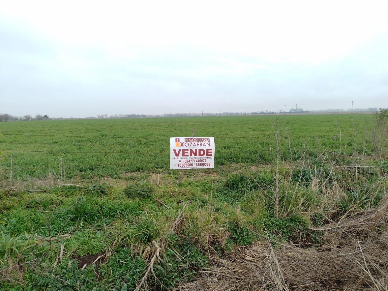 CAMPO EN ACEVEDO, 5 HAS,