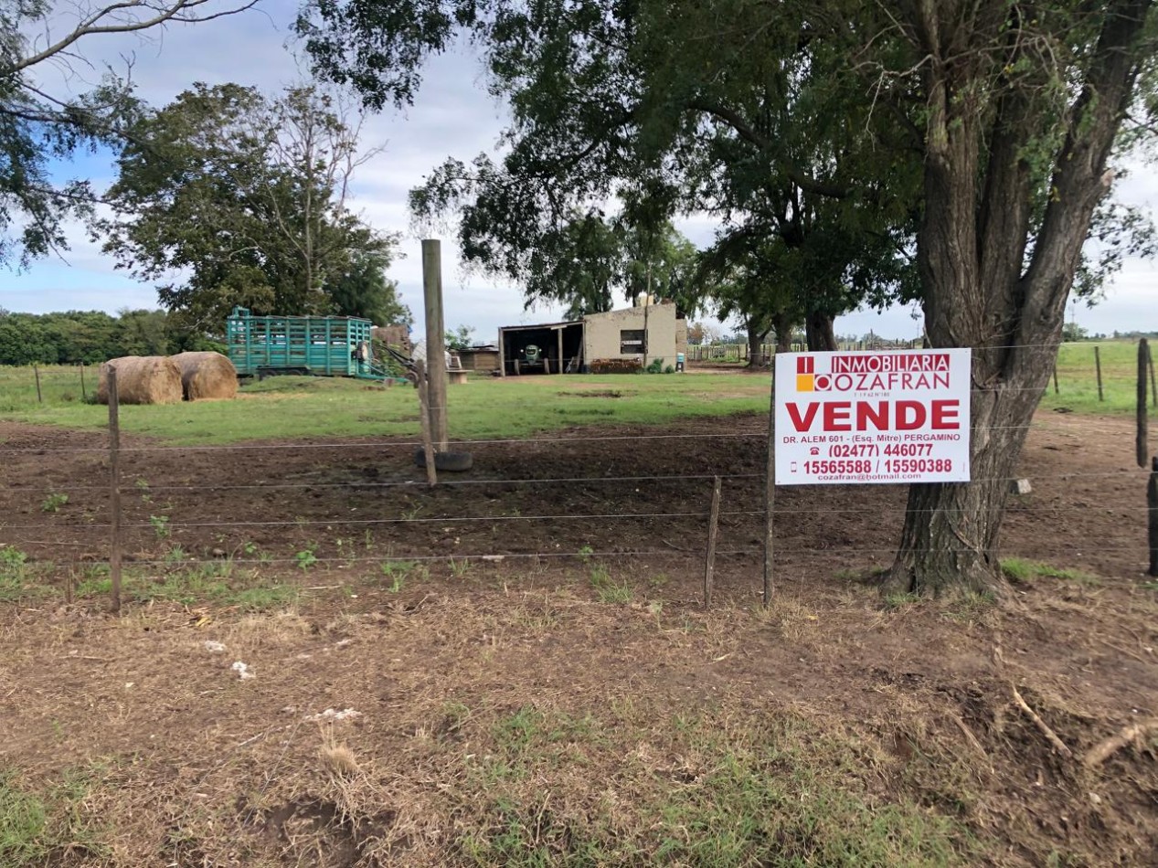 FRACCION DE CAMPO AGRICOLA EN PERGAMINO