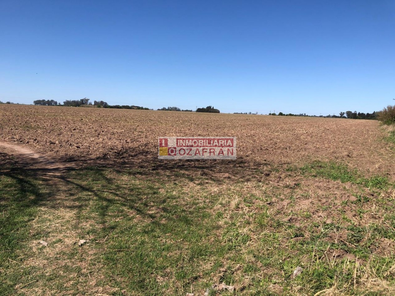 CAMPO EN VENTA