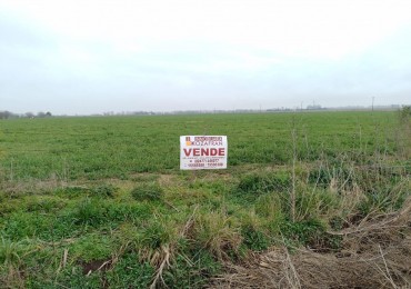 CAMPO EN ACEVEDO, 5 HAS,