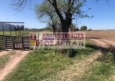 CAMPO EN VENTA